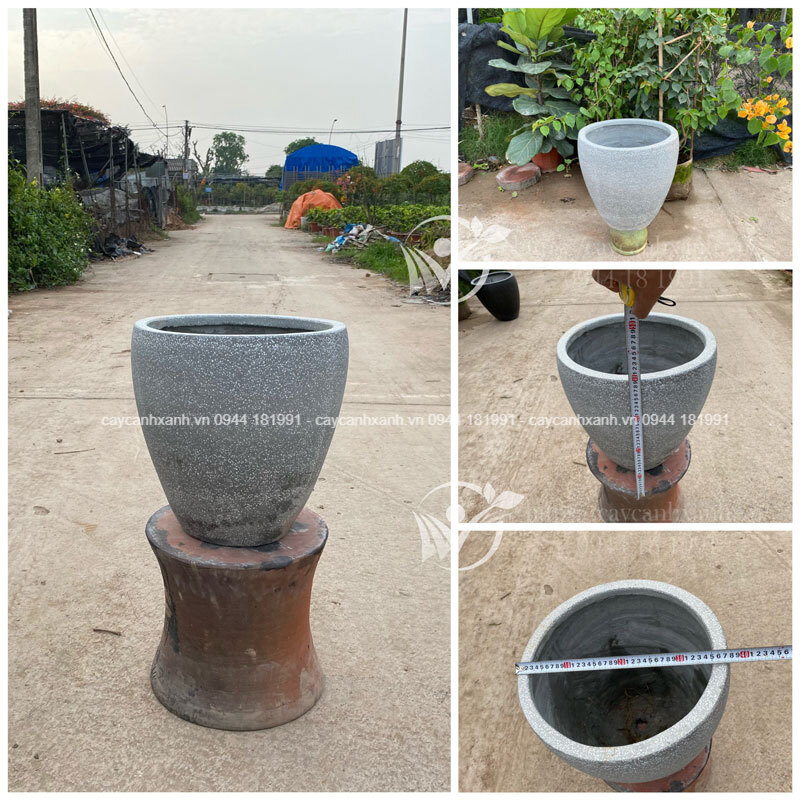 Kích thước và hình dáng chậu phù hợp với mọi không gian