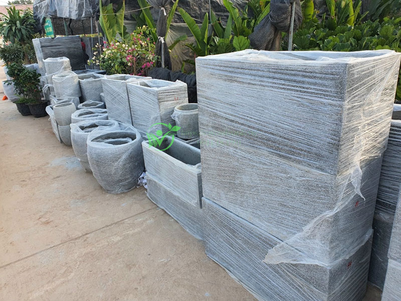 Chậu được xếp và bọc kĩ càng để giao cho khách hàng