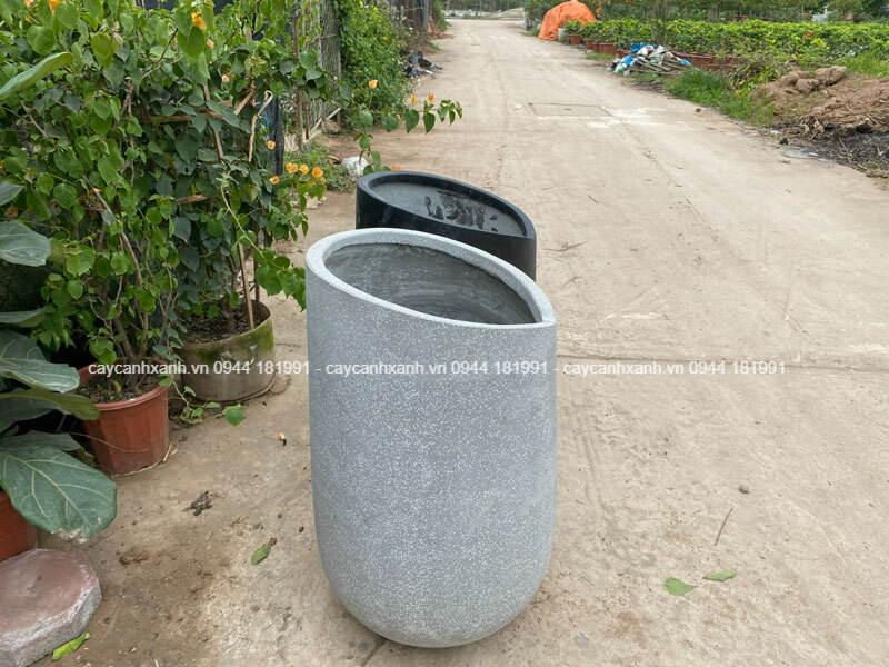 Hình dáng miệng trái tim nhìn lạ mắt, dễ phối cảnh cho cây