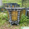 Chậu lục giác 55
