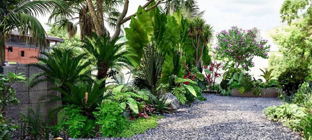 Thi công thiết kế sân vườn theo phong khách nhiệt đới với các dòng cây lá xanh